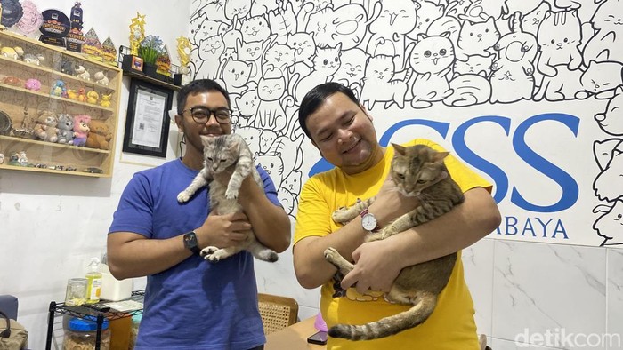 Peduli Kesejahteraan Kucing, Komunitas CSS Konsisten Gelar Sterilisasi