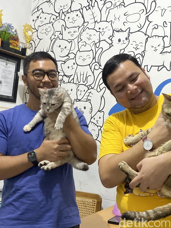 Melihat Kucing Gemoy di Shelter Cat Society of Surabaya