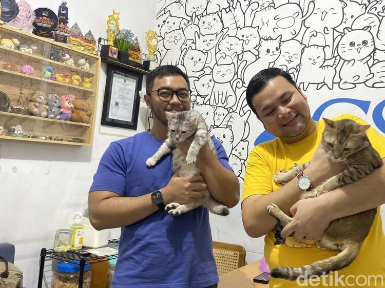 Melihat Kucing Gemoy di Shelter Cat Society of Surabaya
