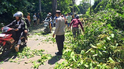 Kondisi lalu lintas macet karena pohon tumbang di jalan jurusan Suela-Sembalun, Lombok Timur, NTB, Selasa (23/12/2025). (Dok. Humas Polres Lombok Timur
