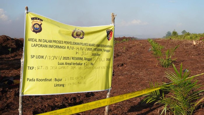 Polisi Tetapkan Pemilk Lahan di Muaro Jambi Jadi Tersangka Karhutla 189 Ha