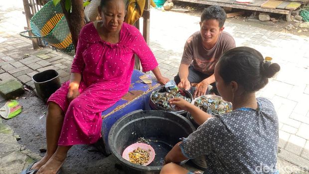 Yanti dan ibu-ibu istri nelayan mengupas kerang hijau di Kampung Tambakrejo, Kecamatan Gayamsari, Kota Semarang, Selasa (23/12/2025).