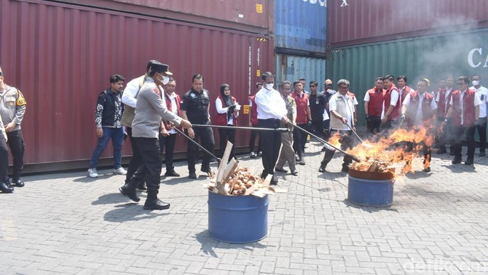 72 Ton Bawang Ilegal Selundupan di Jatim Rugikan Negara Rp 4,5 Miliar