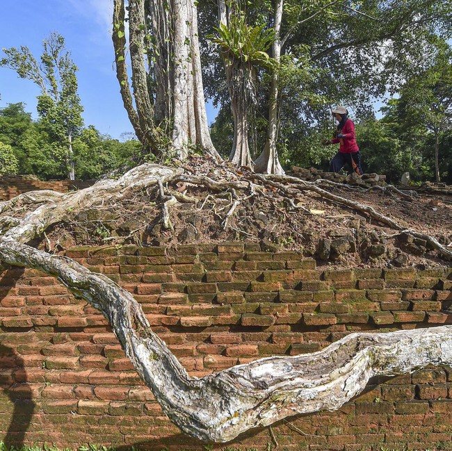 Pemugaran Situs KCBN Muarajambi Terus Dipercepat