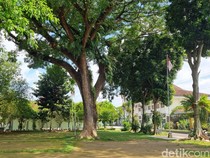 Viral Murid SMSR Jogja Pasang Poster Tolak Penebangan Pohon di Sekolah