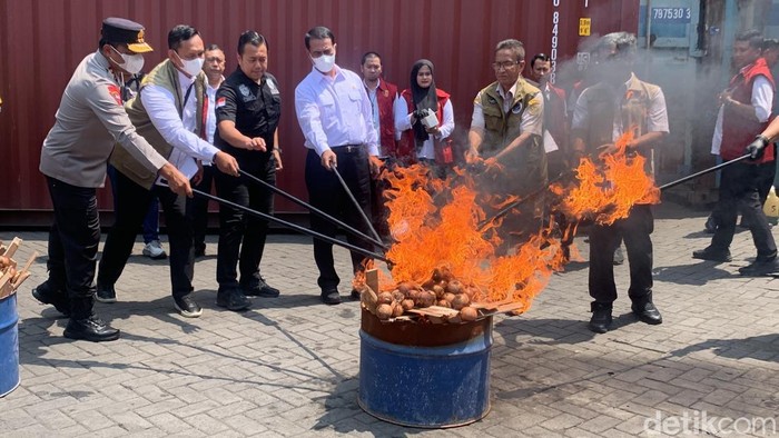 Polda Jatim Gagalkan Penyelundupan Bawang Bombay dari Kalimantan Tengah