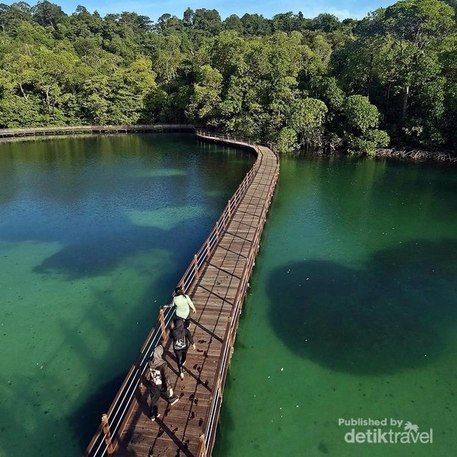Pemandangan Menakjubkan dari Menara Pandang Danau Kakaban