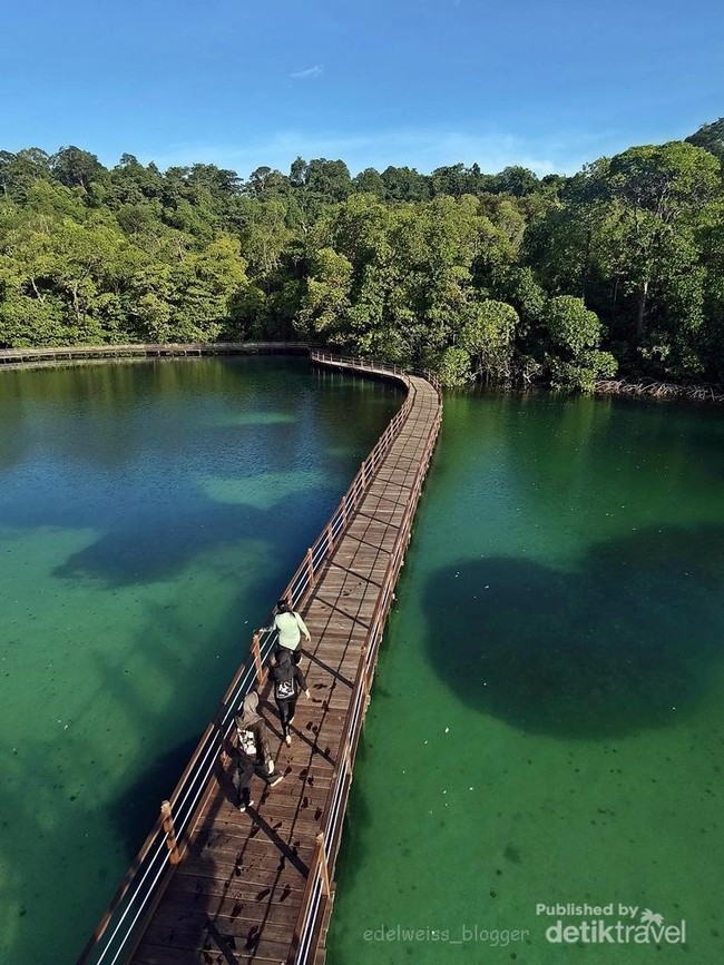 Pemandangan Menakjubkan dari Menara Pandang Danau Kakaban