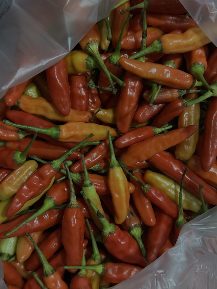 Warga Bantu Warga! Netizen Jakarta Senang Bisa Beli Cabe Takengon Aceh