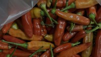 Pemilik akun @pidanisaa juga merasa senang karena bisa membeli cabe rawit merah dari Takengon Aceh yang bentuknya gendut-gendut. Ia juga memberi informasi kalau cabenya bisa dibeli di Pasar Kramat Jati, Jakarta Timur. Foto: Threads @pidanisaa
