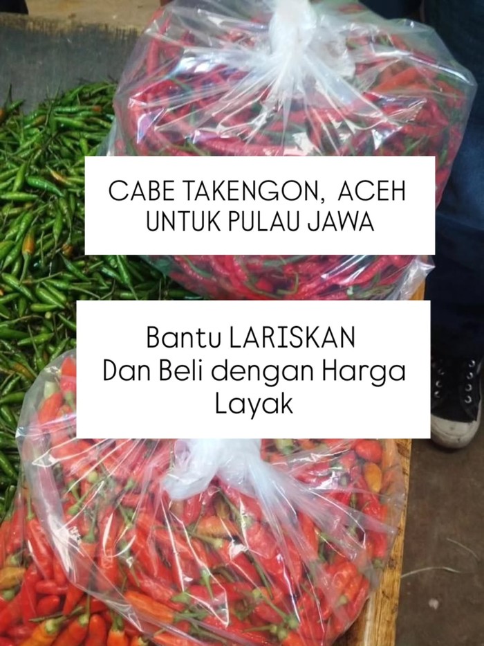 Warga Bantu Warga! Netizen Jakarta Senang Bisa Beli Cabe Takengon Aceh