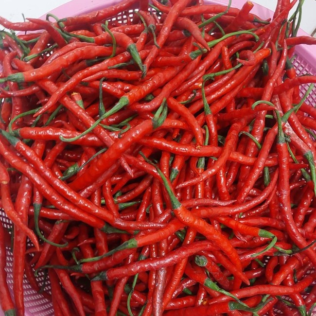 Warga Bantu Warga! Netizen Jakarta Senang Bisa Beli Cabe Takengon Aceh