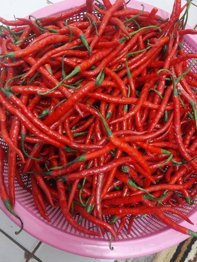 Warga Bantu Warga! Netizen Jakarta Senang Bisa Beli Cabe Takengon Aceh