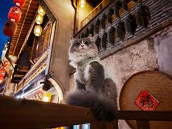 Ini Sampel Kamera Xiaomi 17 Ultra Rilis 25 Desember, Bagus Tidak?