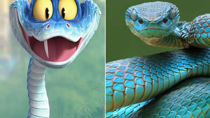 4 Fakta Unik Blue Pit Viper, Ular Endemik NTT yang Viral di China