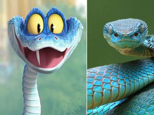 Mengenal Ular Blue Pit Viper Indonesia, Viral di China Gegara Zootopia 2