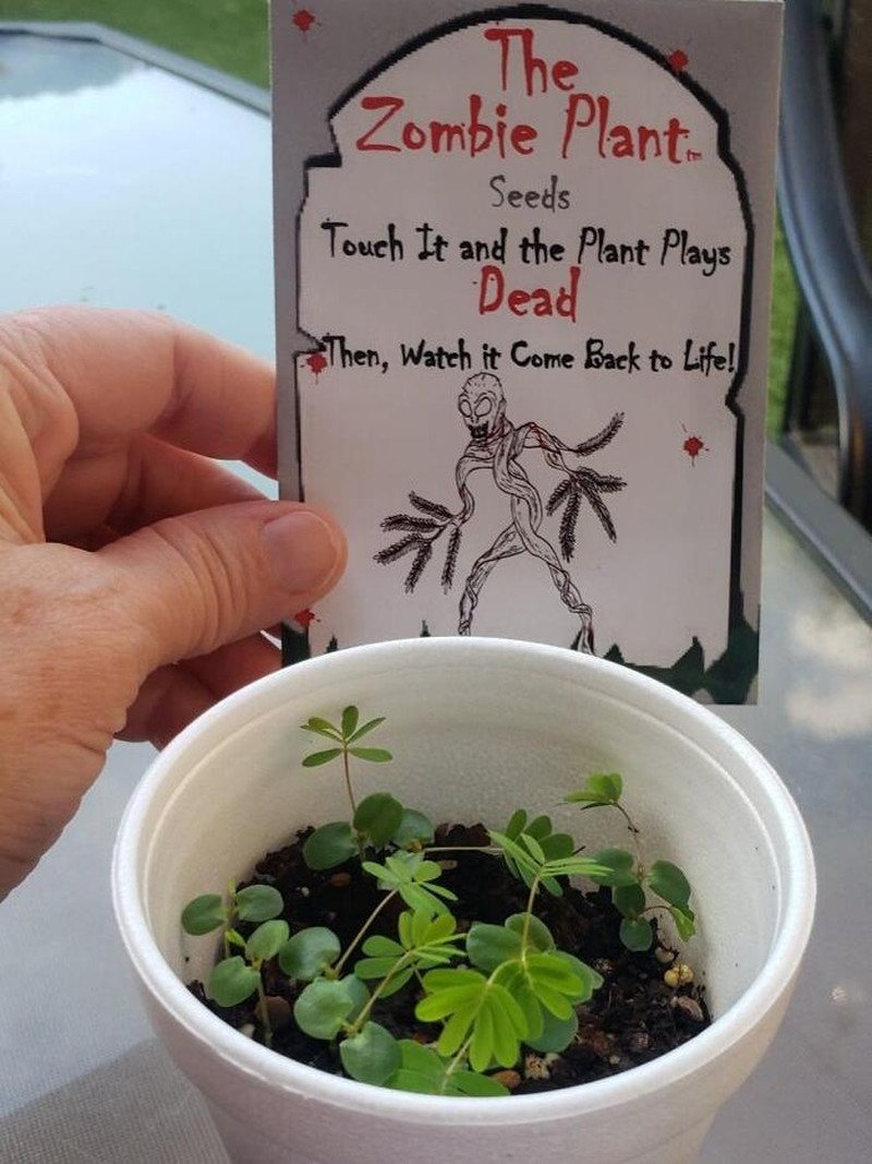 8 Ide Kado Natal Dadakan yang Terlihat Simple Namun Unik