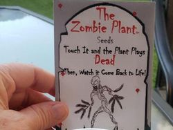 8 Ide Kado Natal Dadakan yang Terlihat Simple Namun Unik