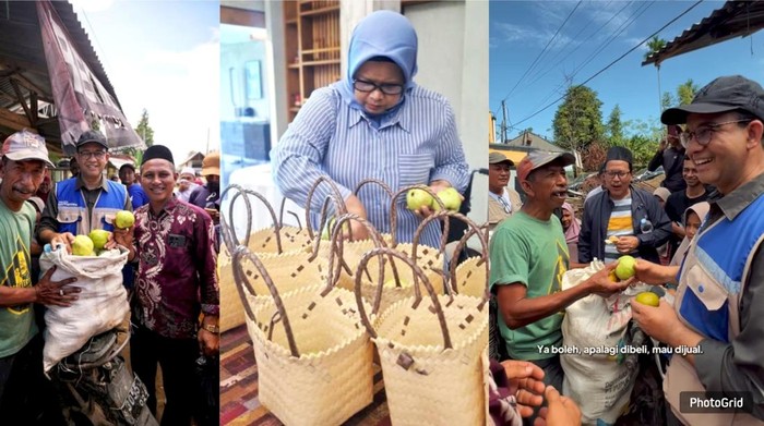Anies Baswedan Borong Sekarung Jambu Korban Bencana Aceh di Pidie Jaya