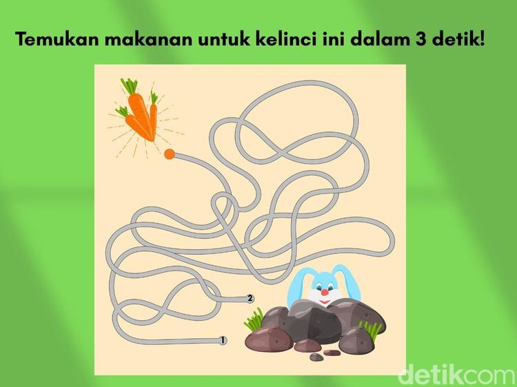 Tes Asah Otak Ini Bikin Mikir Dua Kali, Jangan Buru-buru untuk Jawab