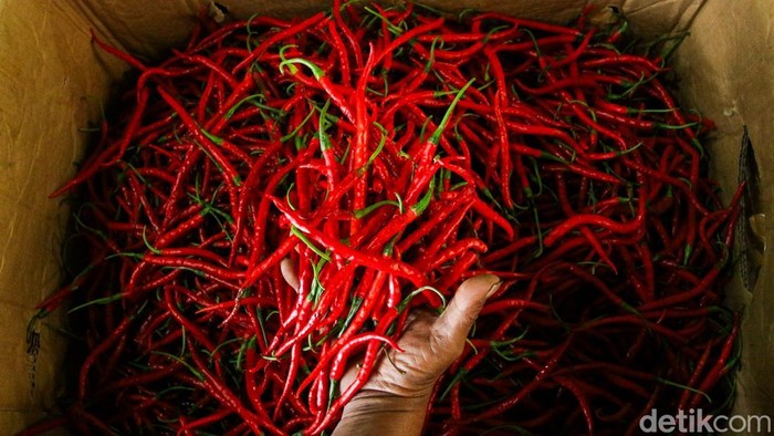 Pedagang menata cabai merah asal Aceh Tengah di toko Rumah Tani Nusantara, Pasar Induk Kramat Jati, Jakarta, Rabu (24/12/2025). Sejak awal Desember, Rumah Tani Nusantara berperan sebagai salah satu distributor cabai yang didatangkan langsung dari wilayah Aceh yang mengalami bencana alam.