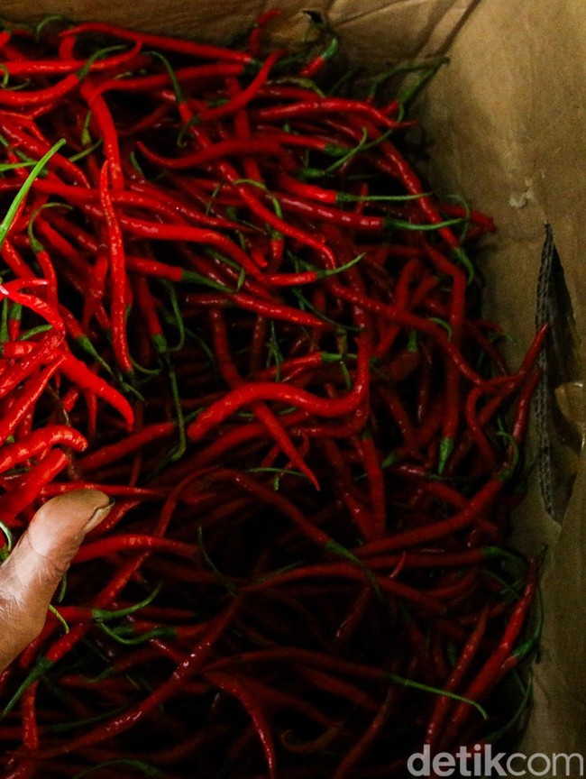 Cabai Merah Aceh Masuk Pasar Induk Kramat Jati, Dukung Ekonomi Petani Pascabencana