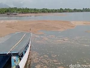 Fenomena Busa Coklat Muncul Lagi di Teluk Bima, Diduga karena Ini