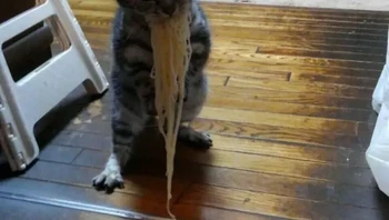 Ketangkap basah. Foto: PastaManSan