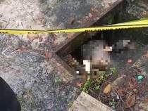 Kasus Mahasiswi Diduga Dibunuh Oknum Polisi: Ancaman Dibalas Cekikan