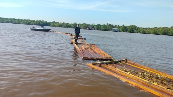 Polres Meranti Amankan 10 Ton Kayu Illegal Logging di Sungai Dadap