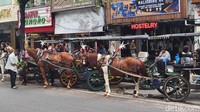 Deretan delman terparkir di kawasan Malioboro. Para kusir tampak menunggu penumpang dari para wisatawan.