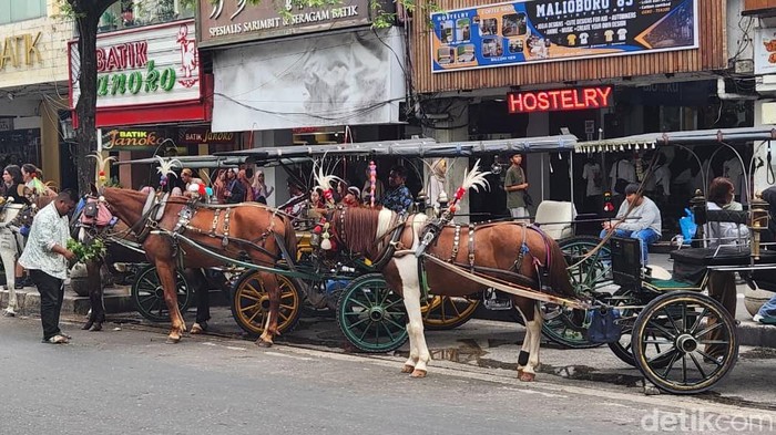 Deretan delman terparkir di kawasan Malioboro. Para kusir nampak semangat menunggu para wisatawan datang.