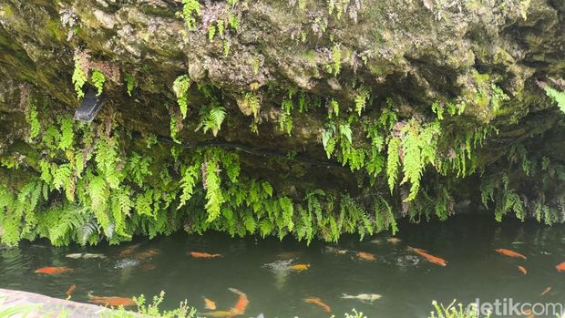 Suasana Stone Corner Woodland Kuningan