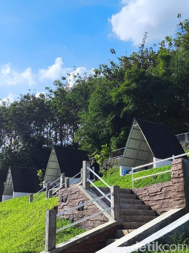 Pesona Tebing Batu dan Hutan Pinus Woodlands Kuningan di Musim Liburan