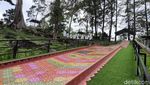 Pesona Tebing Batu dan Hutan Pinus Woodlands Kuningan di Musim Liburan