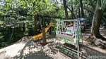 Liburan Murah Meriah di Hutan Kota Babakan Siliwangi Bandung