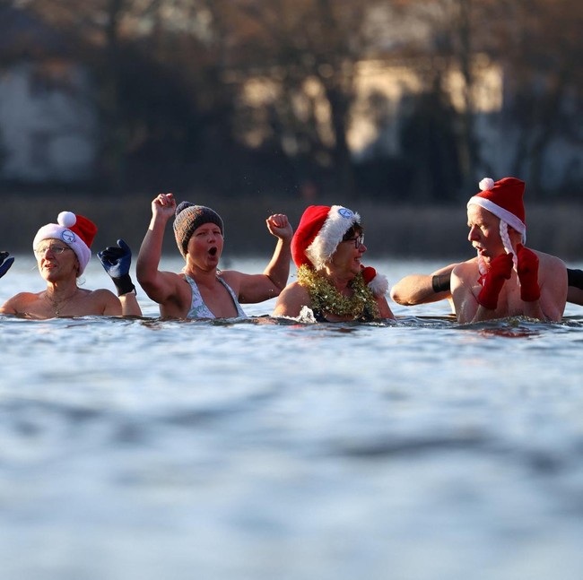 Berani Dingin! Berliner Seehunde Ramaikan Renang Natal di Berlin