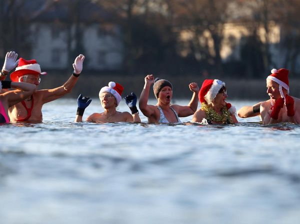 Berani Dingin! Berliner Seehunde Ramaikan Renang Natal di Berlin
