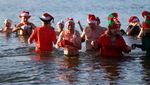 Berani Dingin! Berliner Seehunde Ramaikan Renang Natal di Berlin