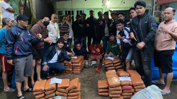 BNN Sumbar ungkap peredaran 100 paket ganja di Agam
