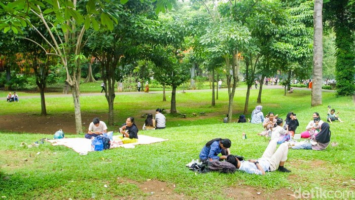 Libur Hari Raya Natal 2025 dimanfaatkan warga Jakarta dan sekitarnya untuk berekreasi bersama keluarga. Tebet Eco Park, Jakarta, menjadi salah satu destinasi favorit yang dipadati pengunjung sejak pagi hari. Taman kota ini ramai oleh keluarga yang membawa anak-anak untuk menikmati ruang terbuka hijau di tengah suasana libur akhir tahun.