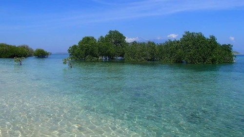 Keindahan Air Laut Namu Beach, Sumbawa Barat, NTB. (Tangkap Layar Google Maps/Leotif Ono/2023)
