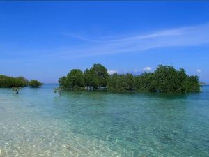 Serasa di Benua Afrika, Ini Daya Tarik Namu Beach di Sumbawa Barat