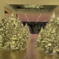 Dekorasi tersebut ia pamerkan lewat video Instagram Stories pada awal Desember. Dalam video itu, Kim tampak berjalan menyusuri rumahnya yang berubah menjadi ‘hutan musim dingin’,  lengkap dengan pohon-pohon cemara tinggi yang diselimuti salju buatan dan lampu putih berkilauan. Foto: dok. Instagram @kimkardashian