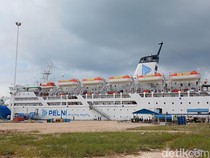 Rekrutmen PT Pelni 2026 Dibuka, Lihat Daftar Lowongannya!