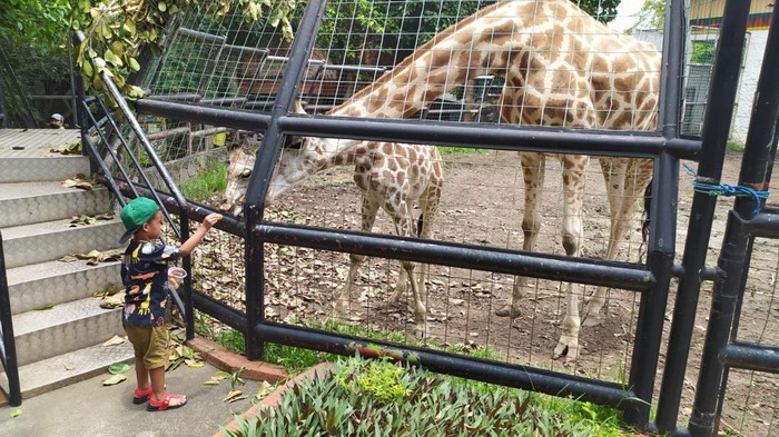 Libur Sekolah, Pengunjung Wisata Bahari Lamongan Masih Sepi