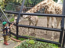 Libur Sekolah, Pengunjung Wisata Bahari Lamongan Masih Sepi