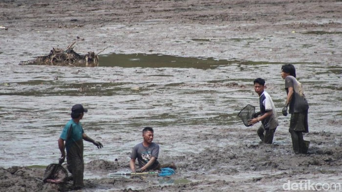 Menengok tradisi 'asatan', tangkap ikan di bendungan Bondowoso