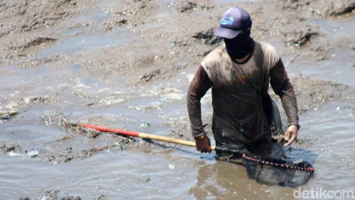 Menengok tradisi 'asatan', tangkap ikan di bendungan Bondowoso