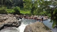 Panorama sawah dan pepohonan hijau di sekitar Sungai Cileueur menambah kesan asri dan menyejukkan bagi para pengunjung. 